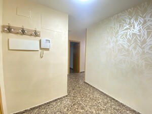 Alquiler planta baja en edificio en guadassuar (1)