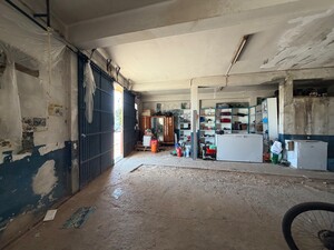 Local carlet(1)