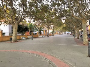 Local comercial carlet(4)