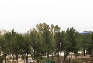 Gran piso carlet zona centro(2)