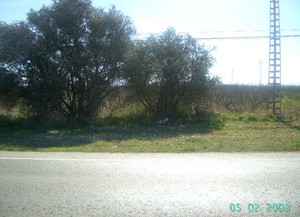 Parcela industrial pol. carlet(1)