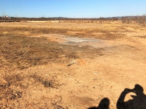 Parcela rustica carlet(2)